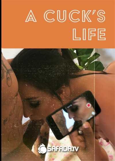 戴绿帽者的一生