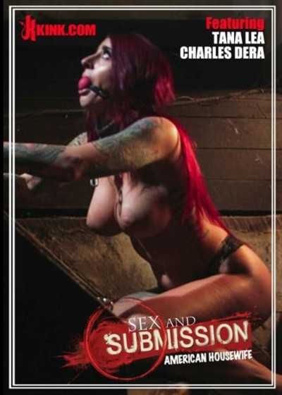 性与服从－美国家庭主妇