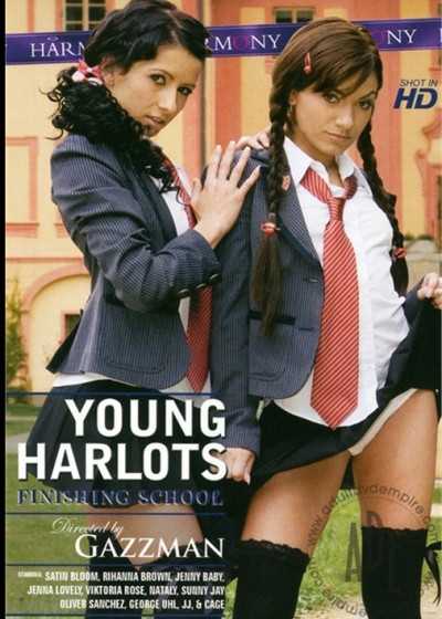 《年轻的妓女：精修学校》