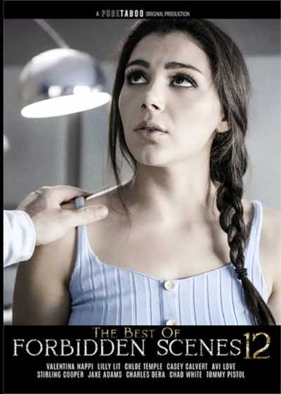 禁忌场景精选 12