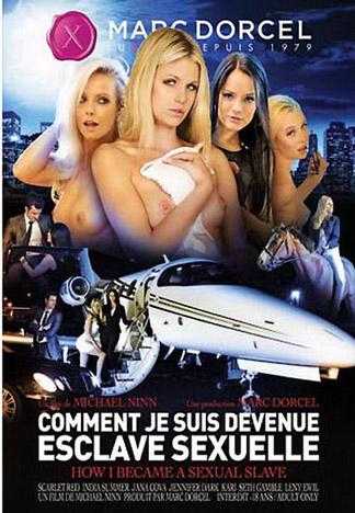 我成了一个性奴隶