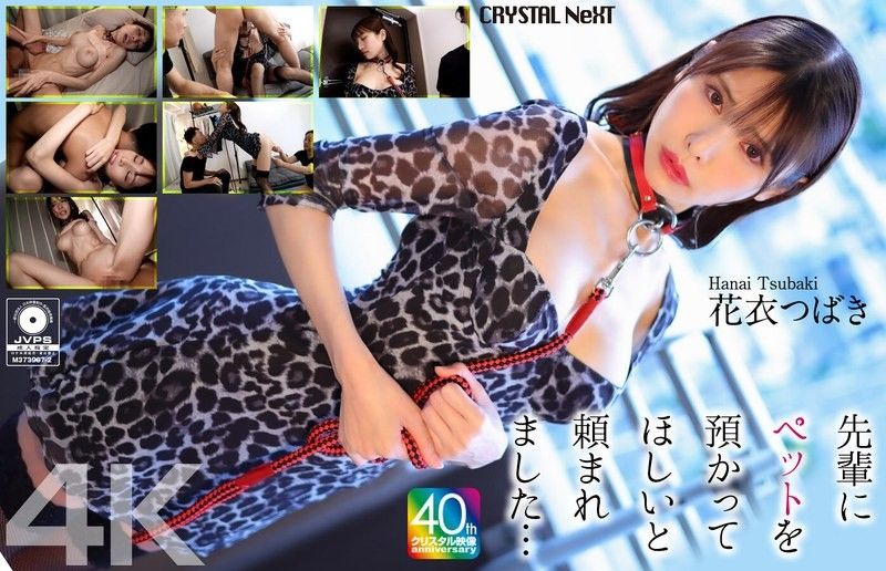 [4K] 學長拜託我照顧他的寵物…花衣椿