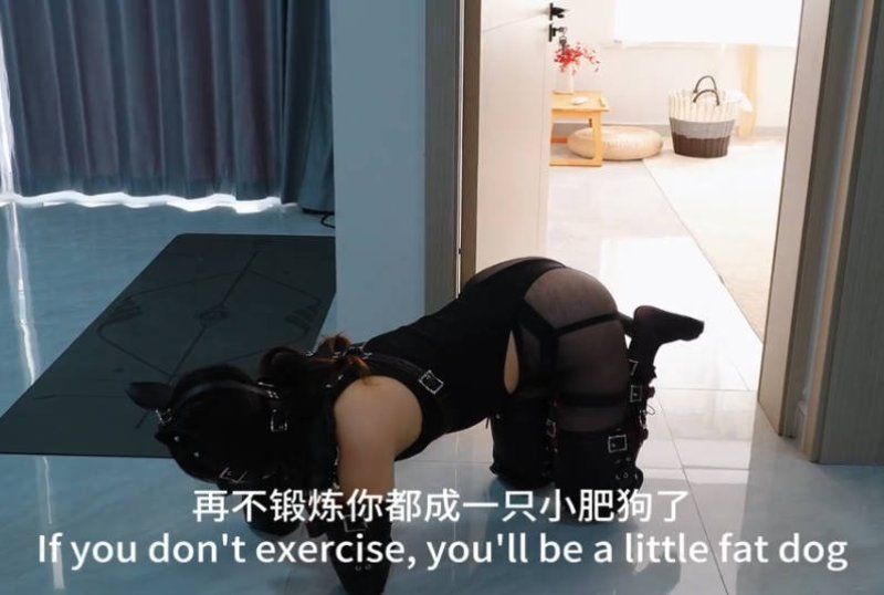 【Raymond】訓練小狗狗_第一次就很高強度的技巧和體能訓練